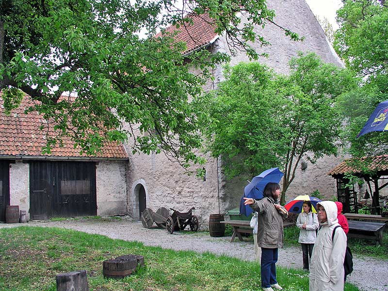 P5310081b.jpg