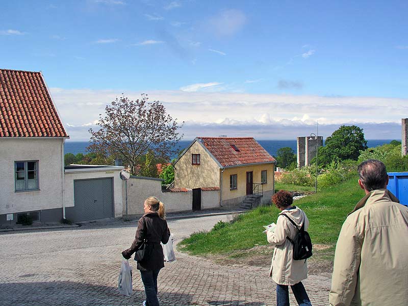 P5310094b.jpg